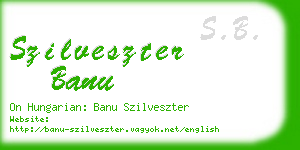 szilveszter banu business card